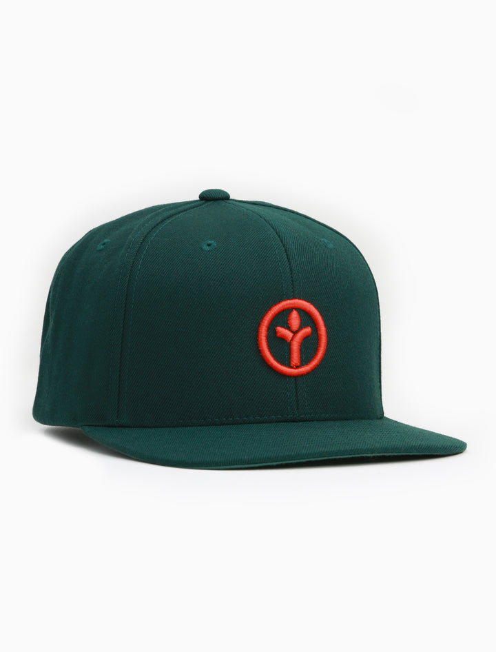 Full Circle Icon Snapback