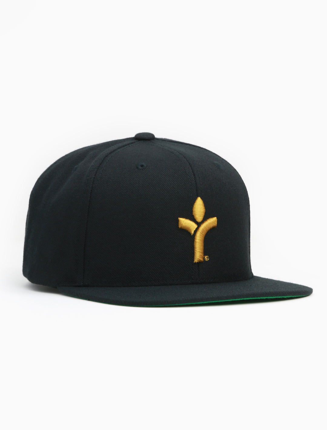 Acrylick Icon Snapback Cap - Black Cap with Gold Acrylick Icon