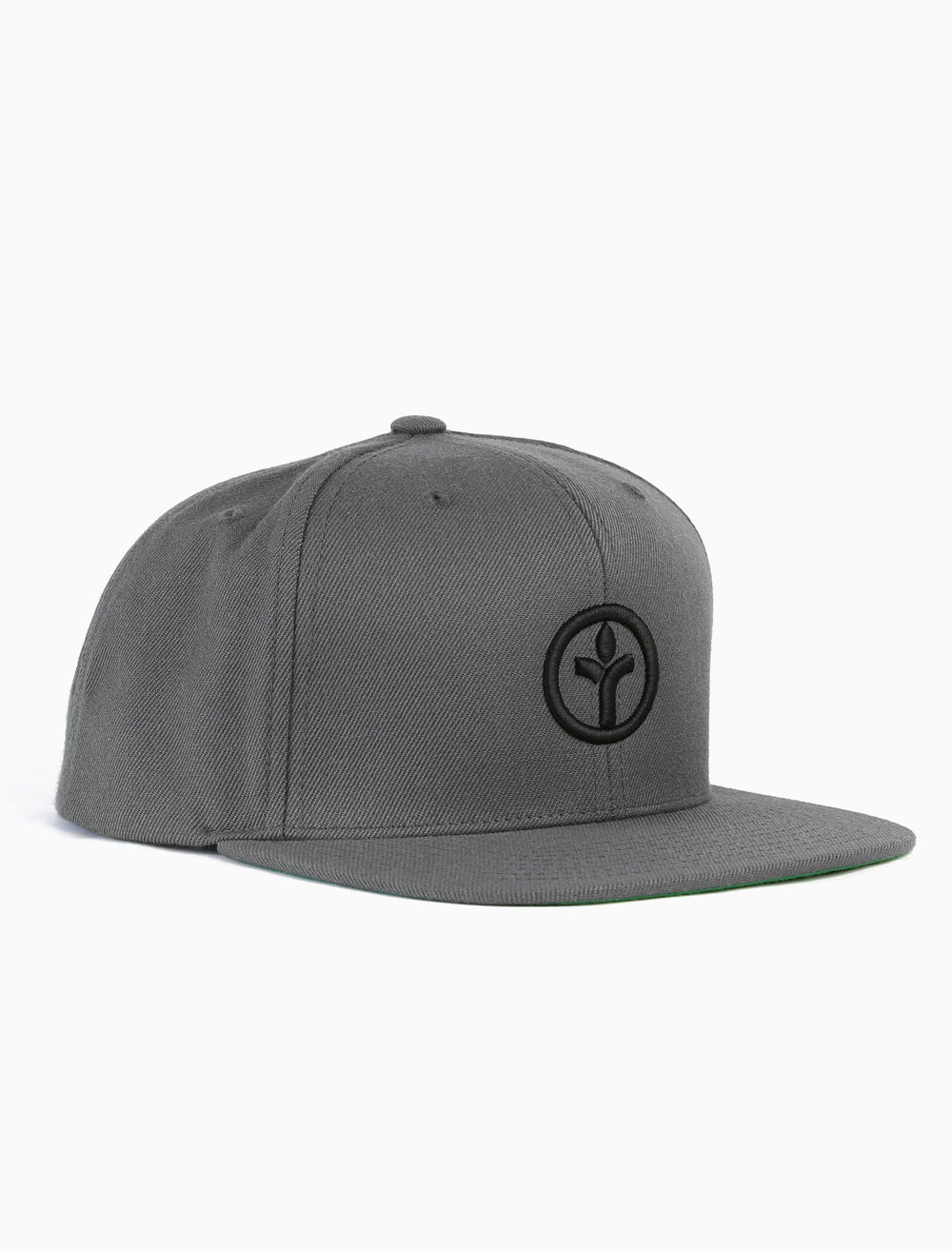 Full Circle Icon Snapback (1445430788207)