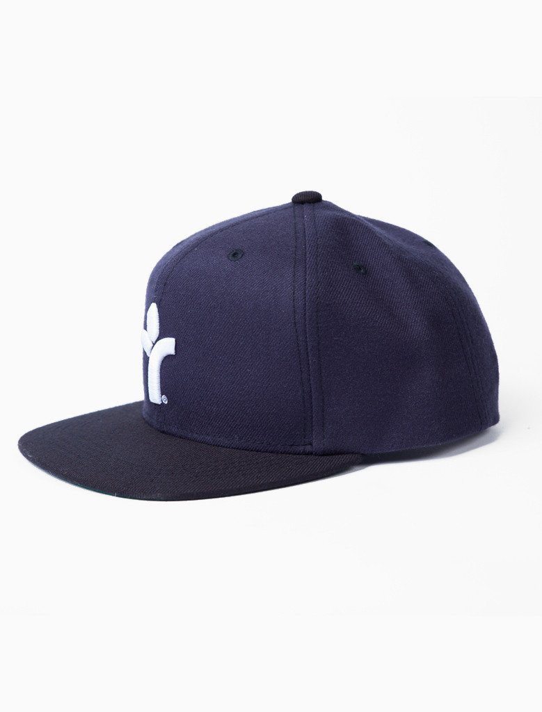 Icon Snapback (8411302793)