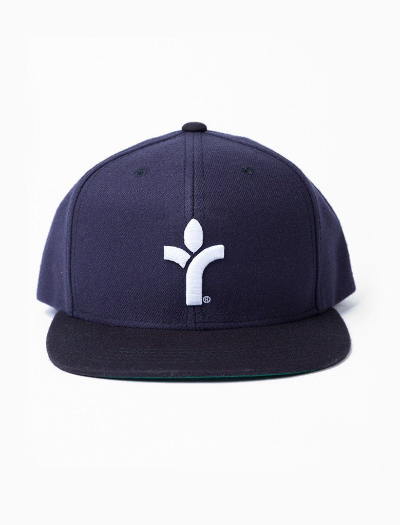 Icon Snapback (8411302793)