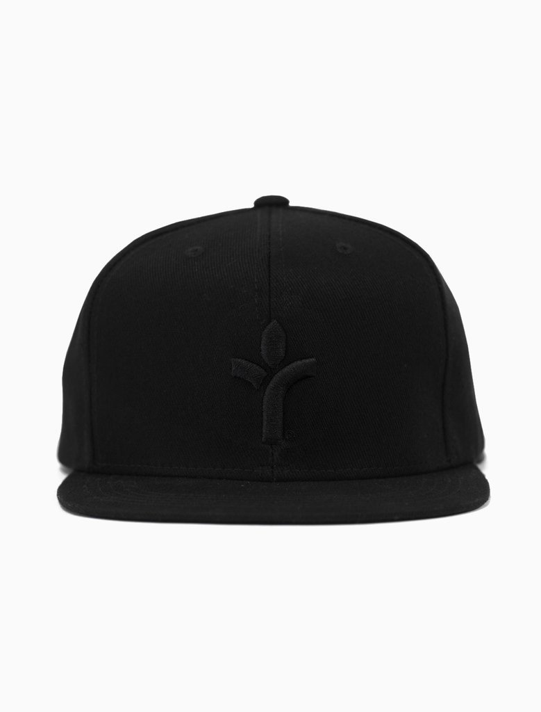 Icon Blacked Out Snapback (8411295561)